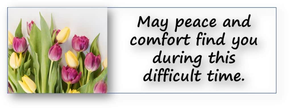 Tulipes - "Que la paix et le confort vous trouvent en cette période difficile