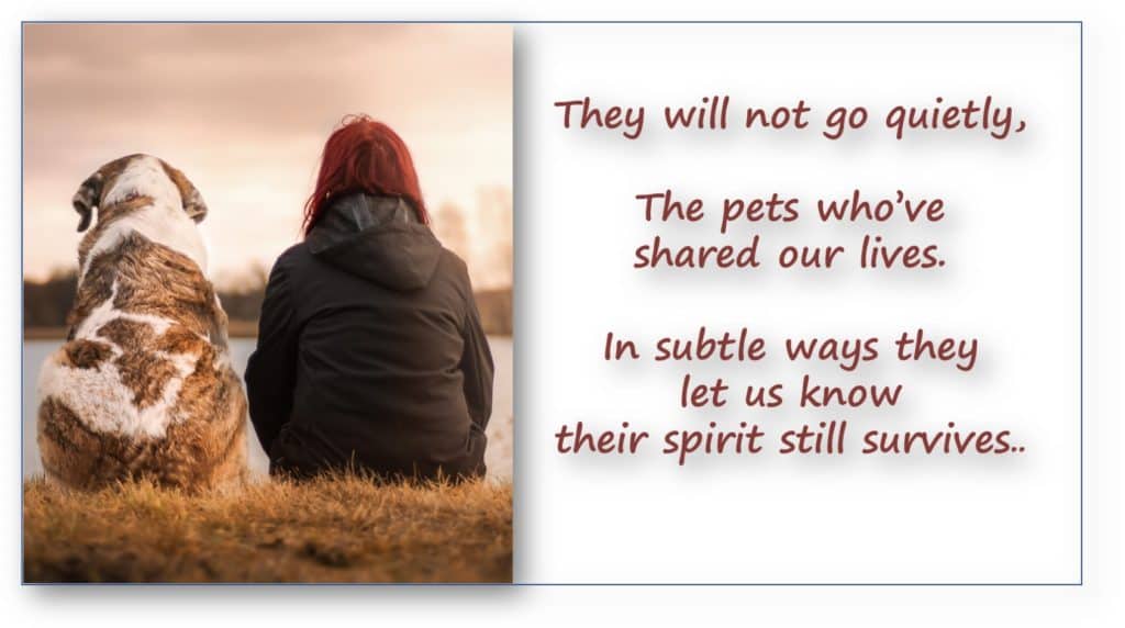 Loss of a Pet – Condolence Card Message Ideas – The Art Of Condolence