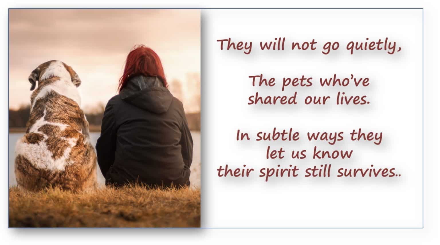 animal-sympathy-poems-for-loss-of-mother-sitedoct