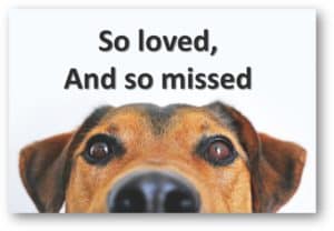 Sympathy Card Dog Pet Sympathy Card in Memory of Pet Loss Condolences Sorry L252