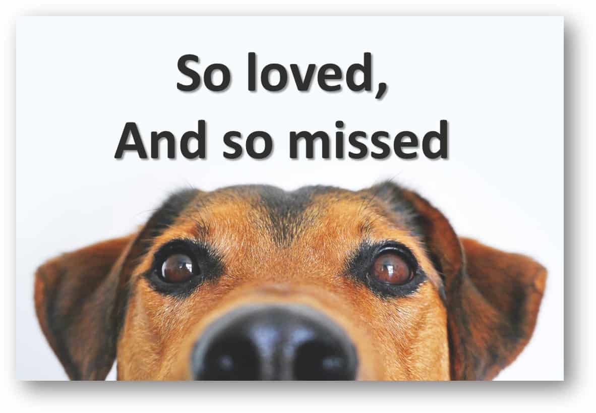 35+ Sympathy Card Condolence Messages → Loss of Pet