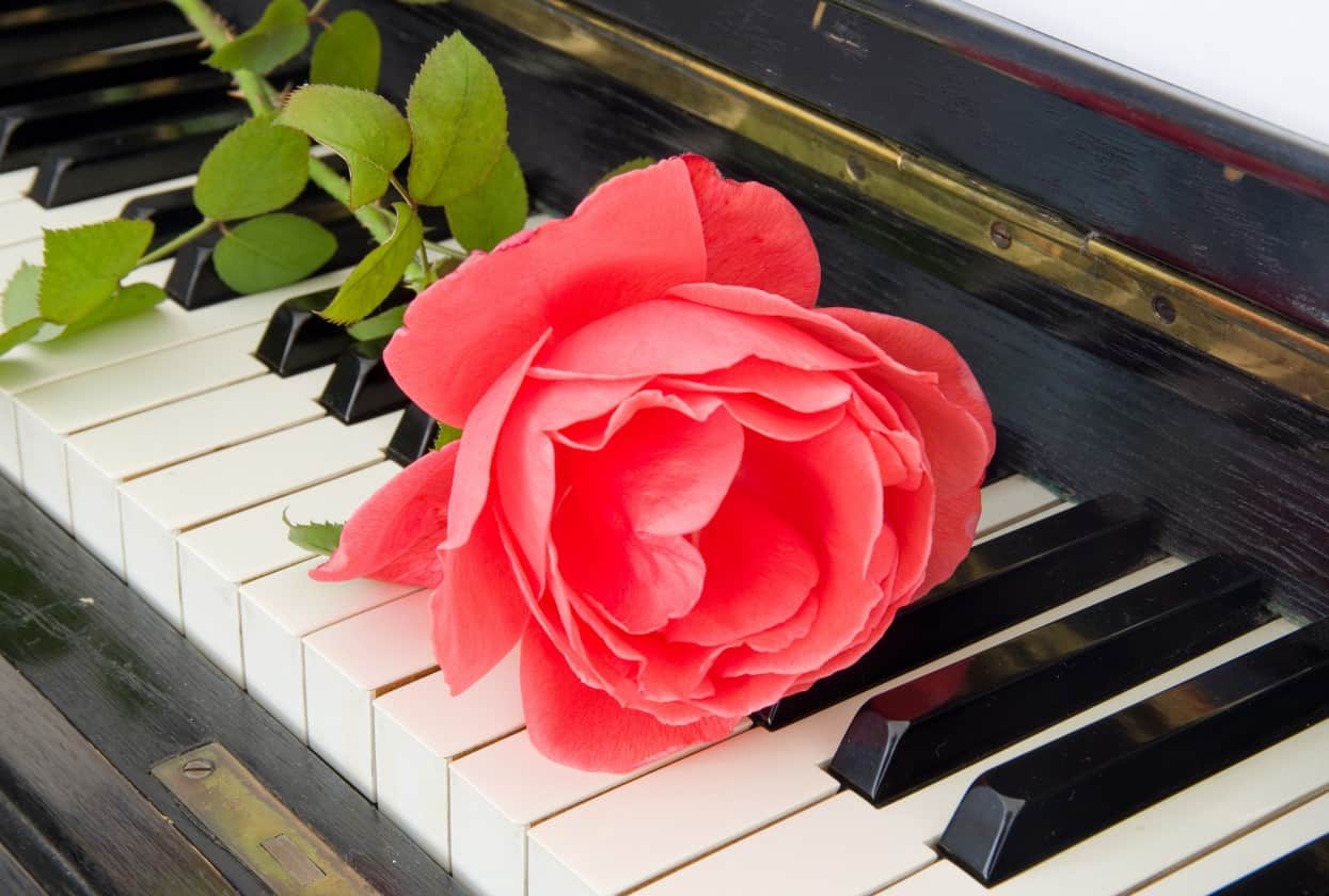 Funeral Flower on Piano Keys