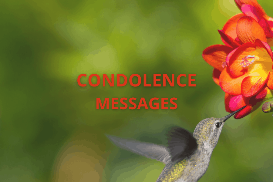 300 Condolence Sympathy Messages For Sympathy Card