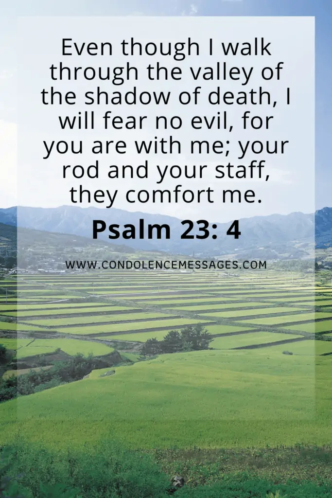 Bible Verse About Death - "Even though I walk through the valley of the shadow of death, I fear no evil, for You are with me; Your rod and Your staff, they comfort me."Psalm 23: 4