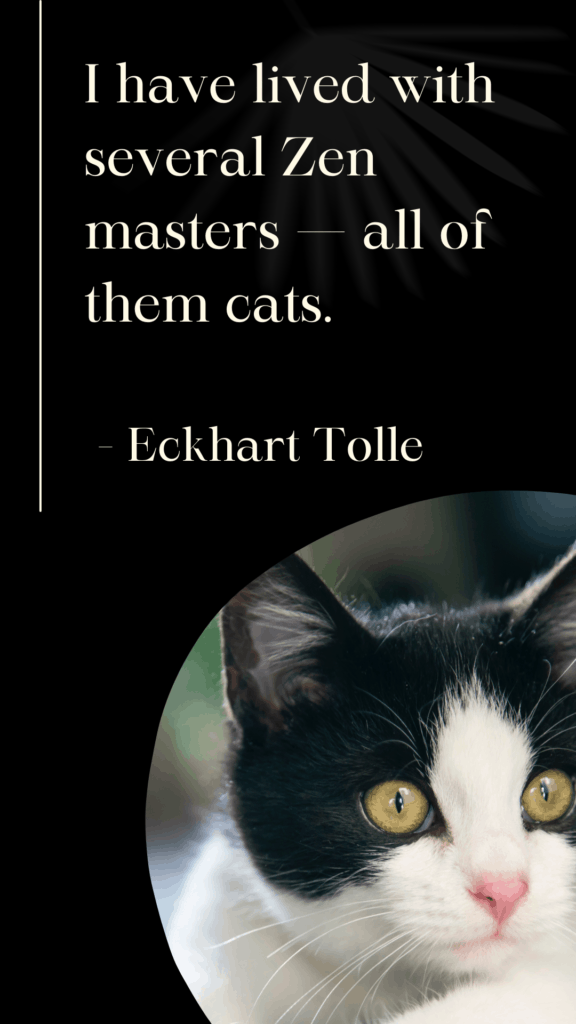 Cat Loss Saying by Eckhart Tolle