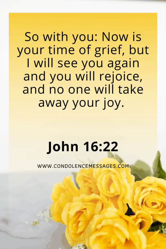Bible Verse About Death - John 16:22So with you: Now is your time of grief, but I will see you again and you will rejoice, and no one will take away your joy.