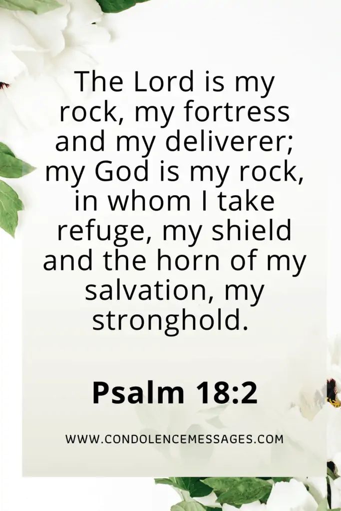 Bible Verse About Death - Psalm 18:2The Lord is my rock, my fortress and my deliverer; my God is my rock, in whom I take refuge, my shield and the horn of my salvation, my stronghold.