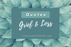 Grief Quotes To Comfort The Grieving