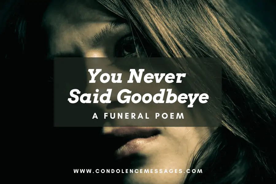 You Never Said Goodbye