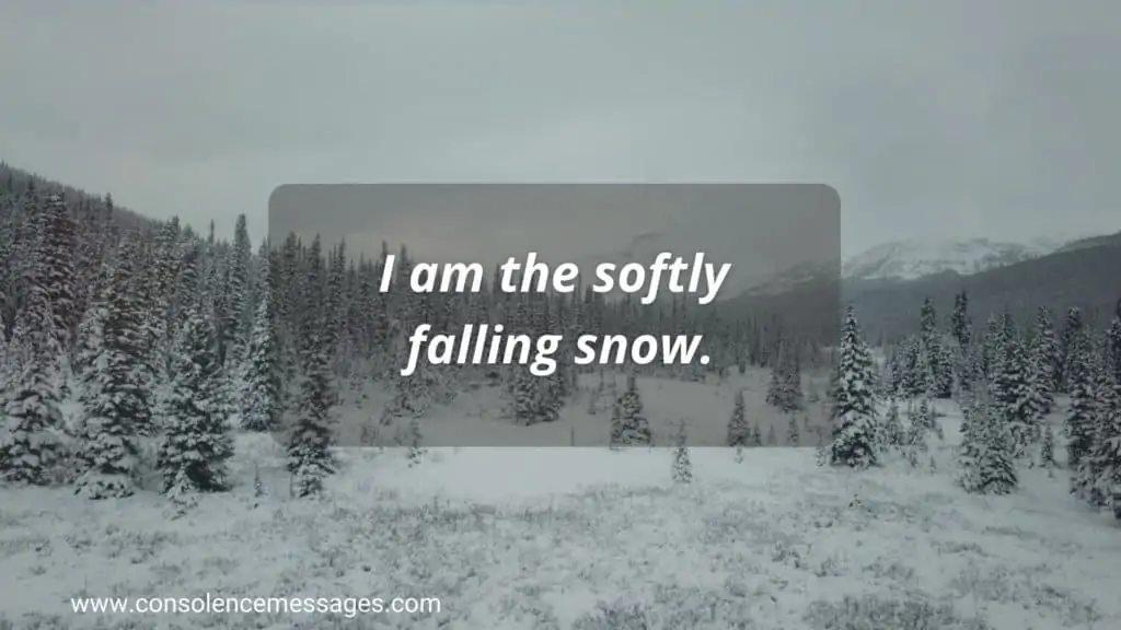 Do Not Stand at My Grave and Weep 
Quotes "I am the softly falling snow"