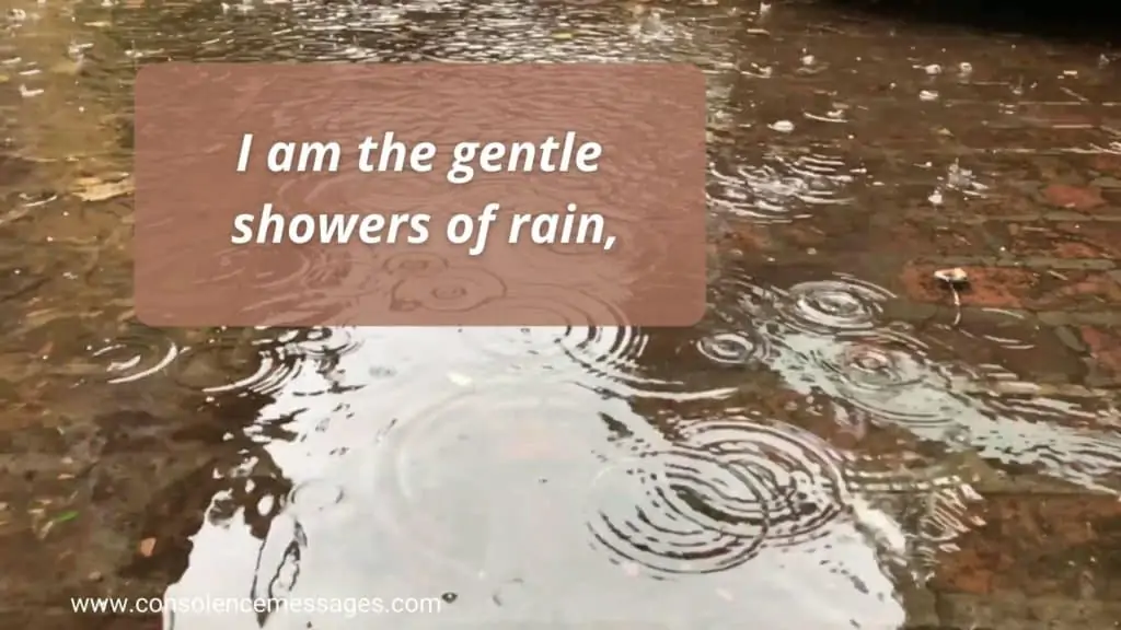 Do Not Stand at My Grave and Weep 
Quotes "I am the gentle showers of rain"