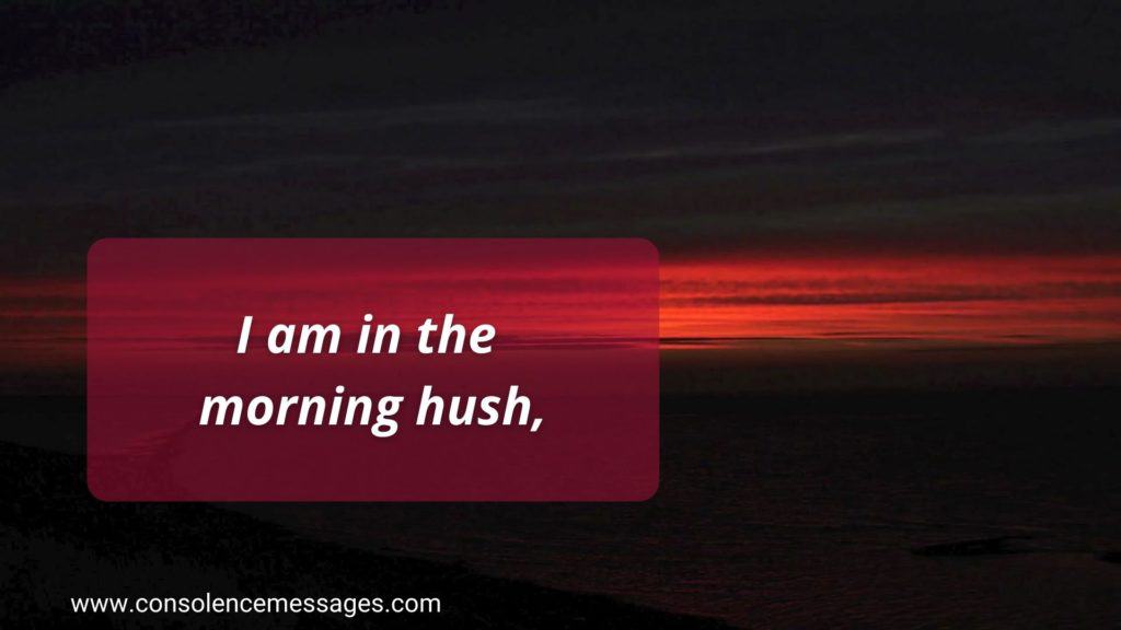 Do Not Stand at My Grave and Weep 
Quotes  - "I am in the morning hush"