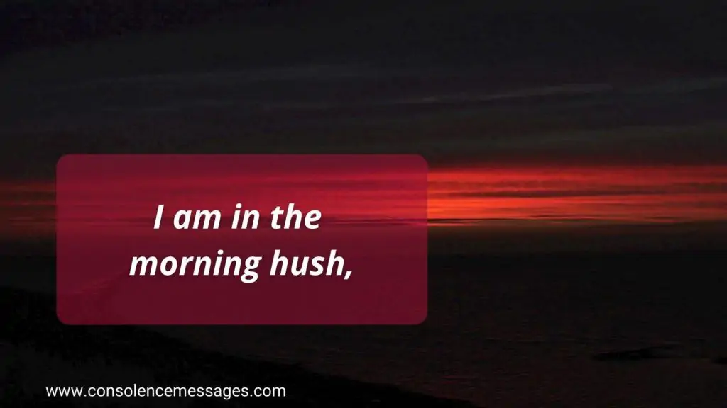 Do Not Stand at My Grave and Weep 
Quotes  - "I am in the morning hush"