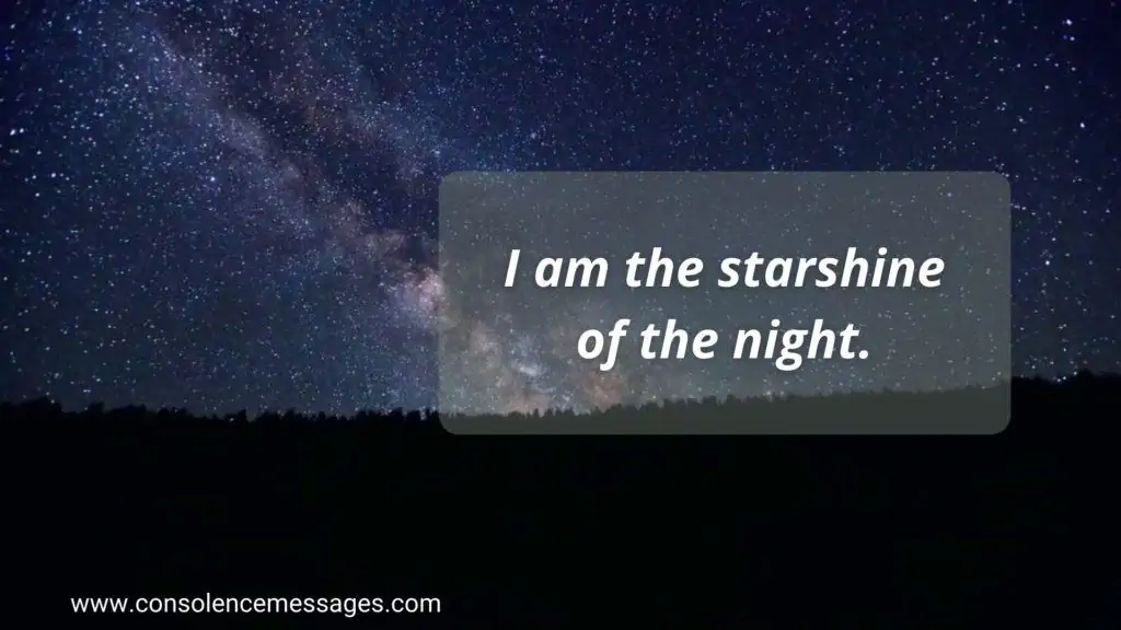 Do Not Stand at My Grave and Weep 
Quotes "I am the starshine of the night"