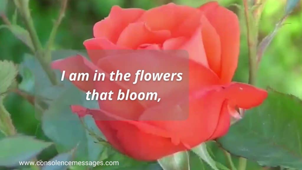 Do Not Stand at My Grave and Weep 
Quotes  "I am in the flowers that bloom"