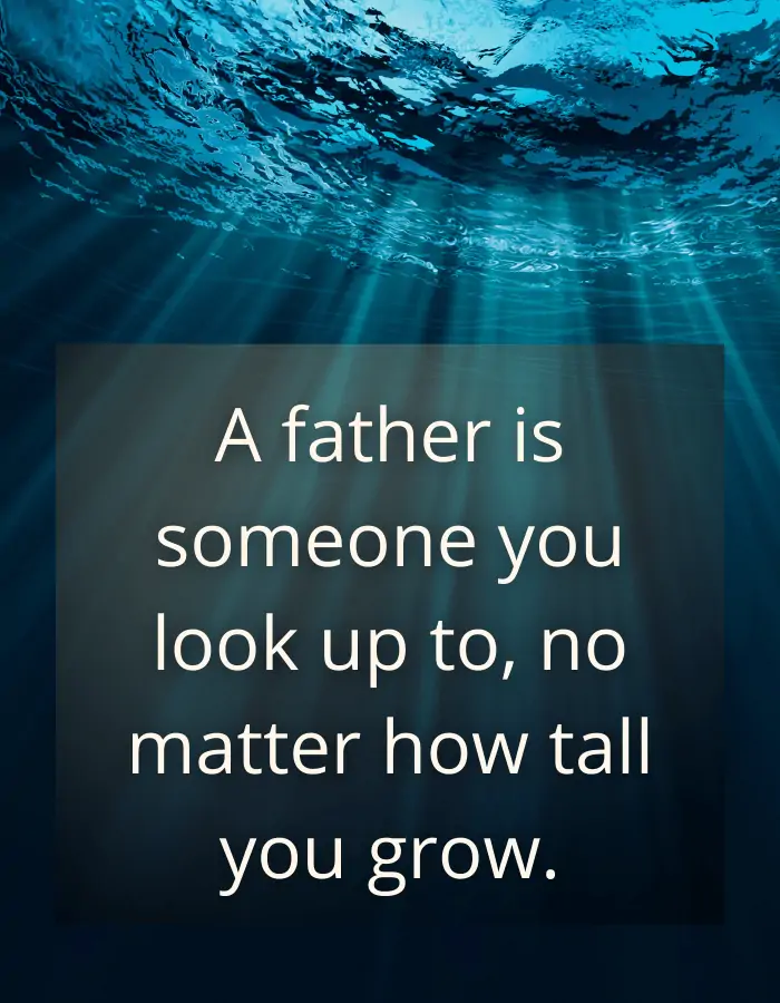 Loss of father quote - A father is someone you look, no matter how tall you grow.