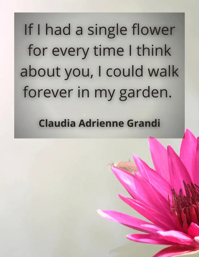 Loss of father quote - If I had a single flower for every time I think about you, I could walk forever in my garden. - Claudia Adrienne Grandi