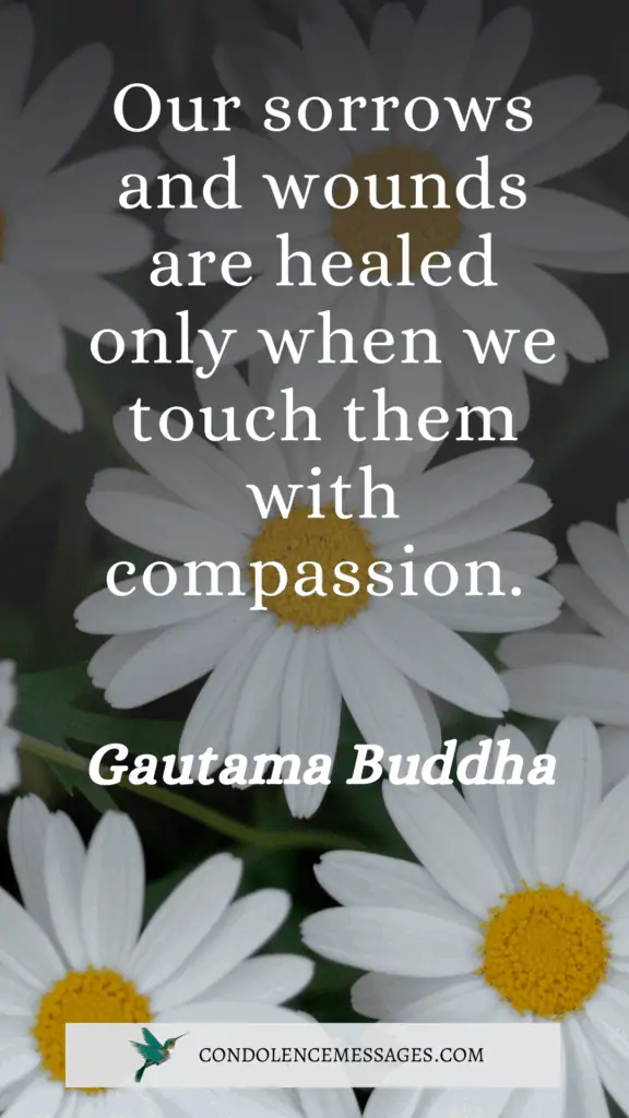 Our sorrows and wounds are healed only when we touch them with compassion. - Gautama Buddha﻿