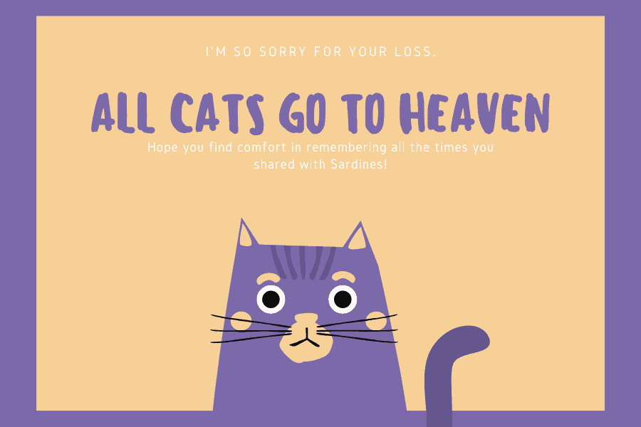 Sympathy Image Cat - "All Cats Go To Heaven - I'm So Sorry For Your Loss - Hope you find comfort in remembering all the times you shared with Sardines."