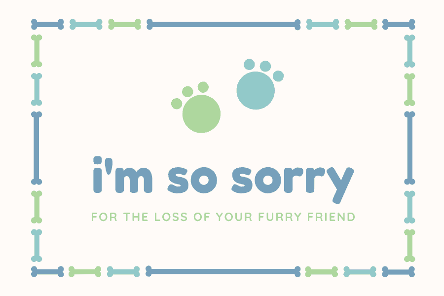 Sympathy Cat Image - "m So Sorry for the loss of your fry friend"