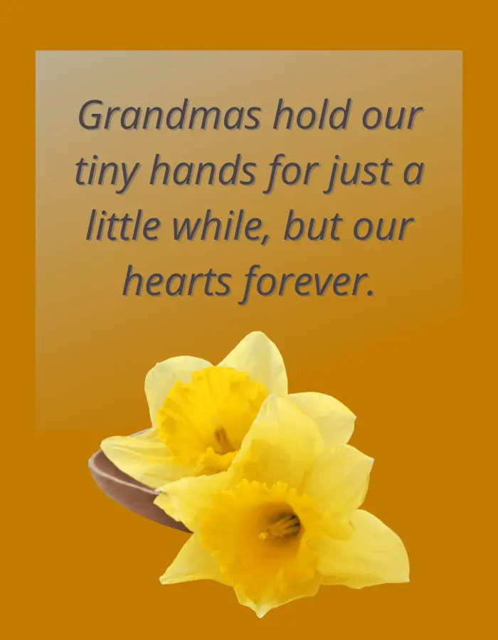 Grandmother Quote - Grandmas hold our tiny hands for just a little while, but our hearts forever. - Anonymous