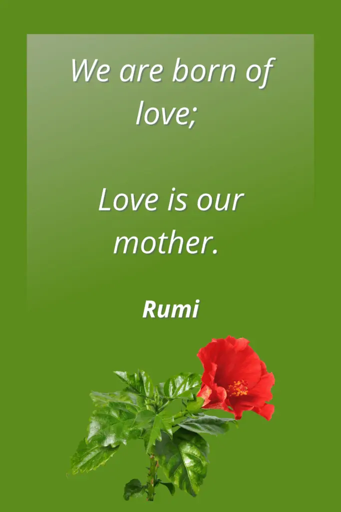 Mother Quotes for Sympathy Note - We are born of love; Love is our mother. - Rumi