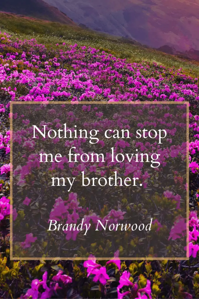 Loss of brother quotes - Nothing can stop me from loving my brother. -Brandy Norwood