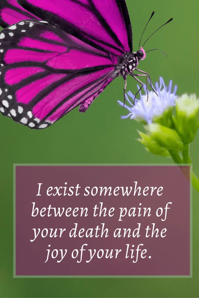 Loss of brother quotes - I exist somewhere between the pain of your death and the joy of your life.