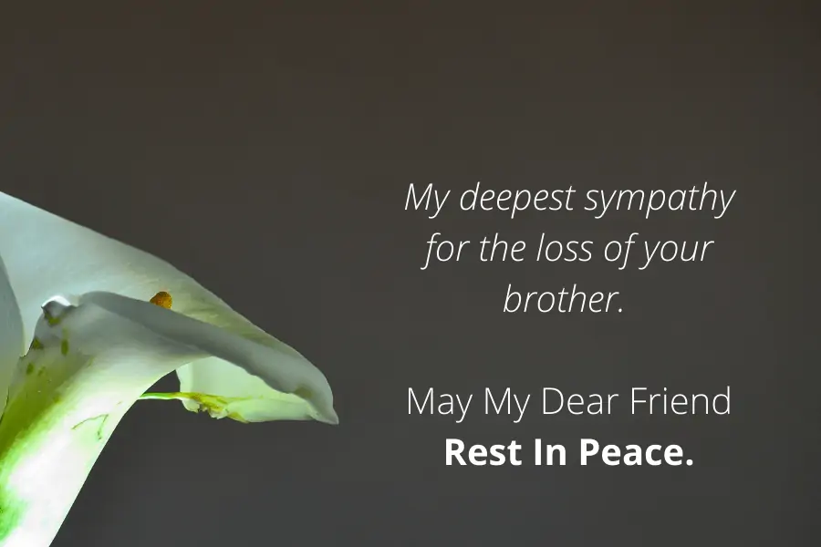 Brother Rest In Peace Message - My deepest sympathy for the loss of your brother. May my dear friend rest in peace.