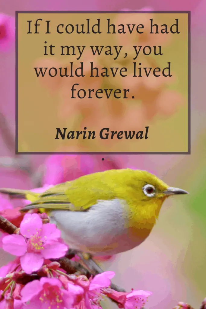 Loss of brother quotes - If I could have had it my way, you would have lived forever - Narin Grewal