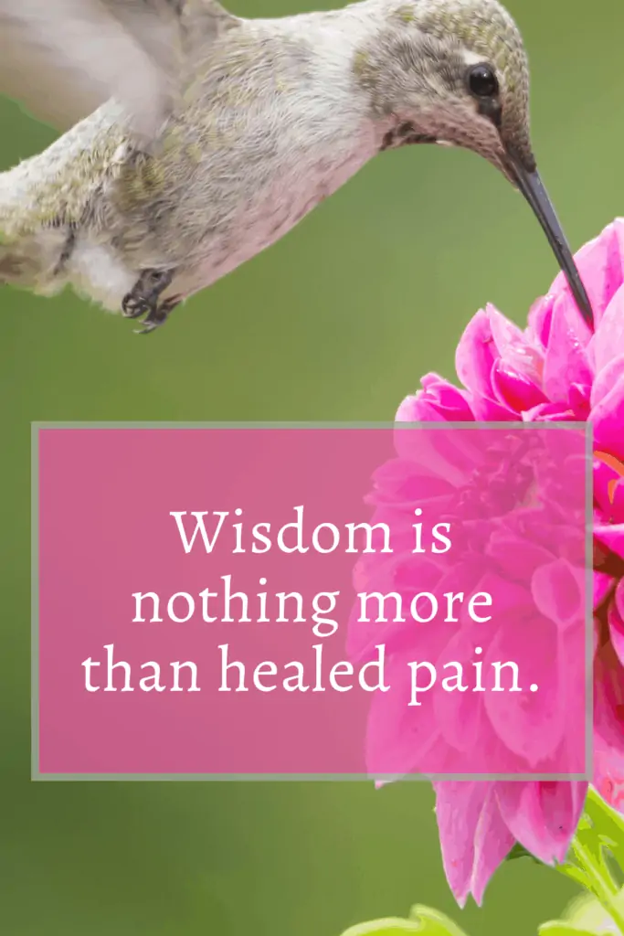 Loss of brother quotes - Wisdom is nothing more than healed pain