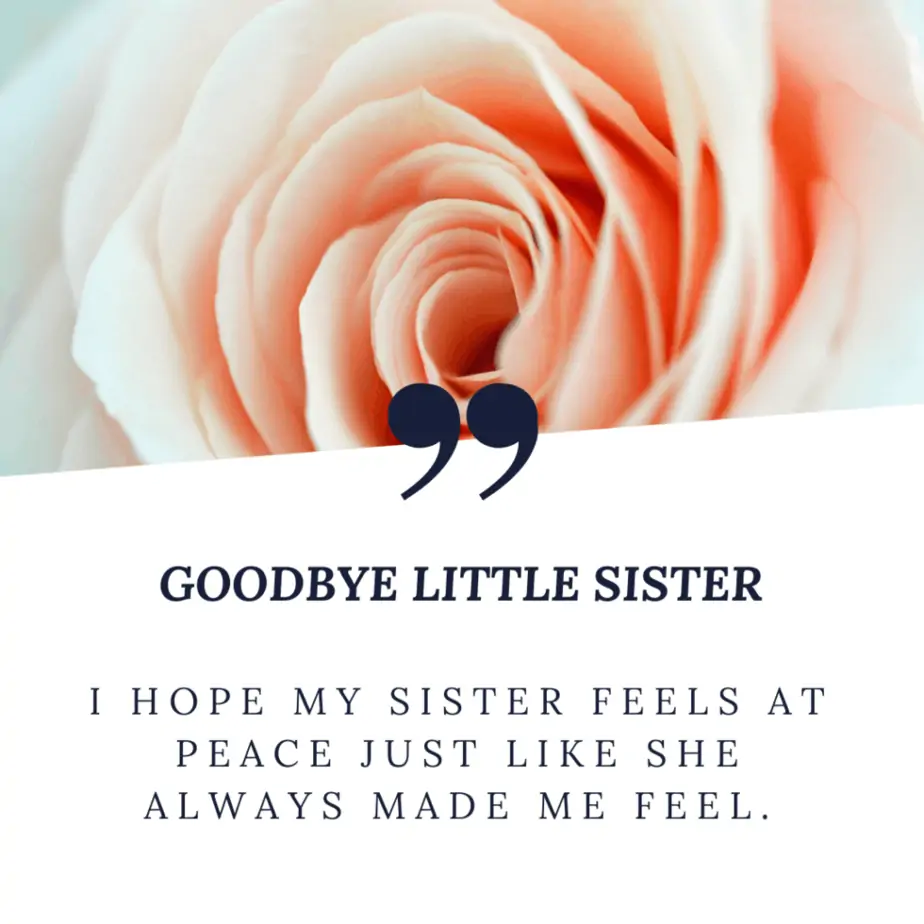 My Sister Passed Away Messages - "GOODBY LITTLE SISTER"