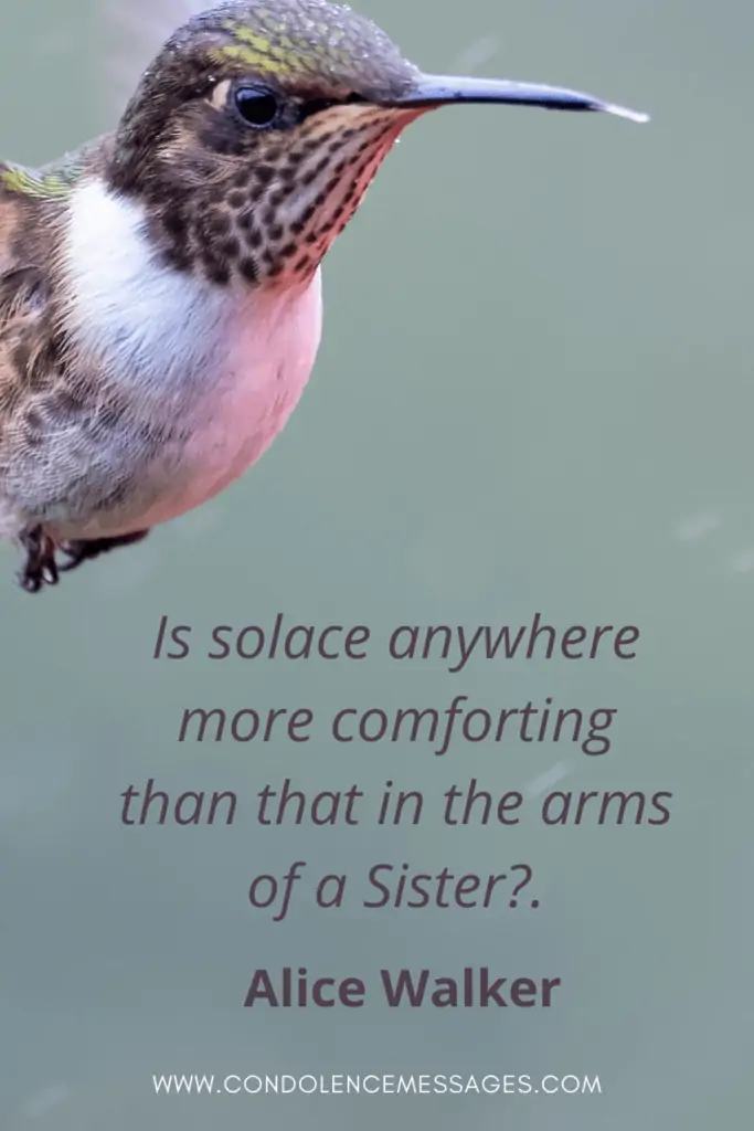 Loss of Sister Quotes - Is solace anywhere more comforting than that in the arms of a Sister? - Alice Walker