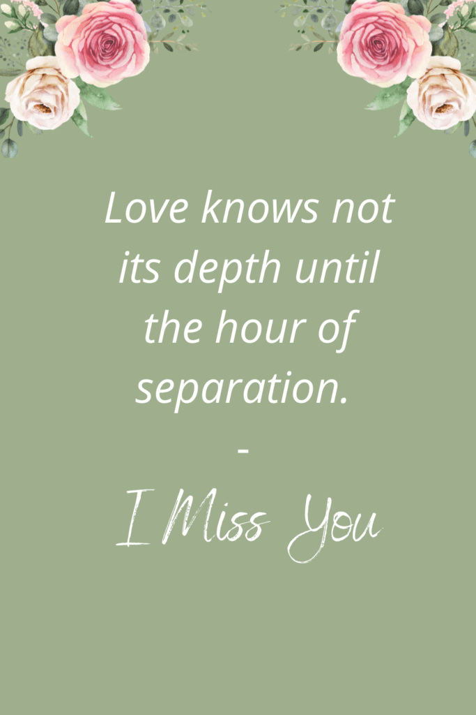 My Brother Passed Away Message - Love knows not its depth until the hour of separation. - I miss you.