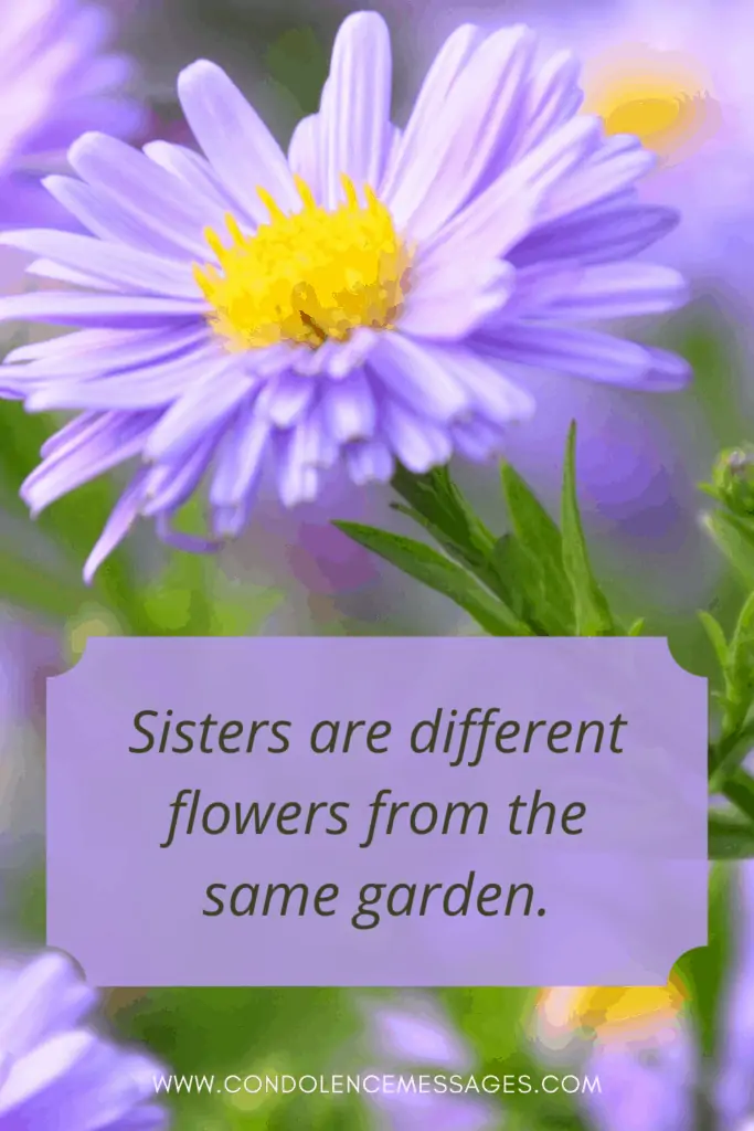 Death of sister quotes - Sisters are different flowers from the same garden. - Unknown