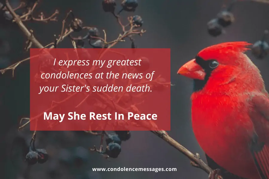 Red Cardinal Rest In Peace Sister Messages - I express my greatest condolences at the news of your Sister's sudden death. May she Rest In Peace.