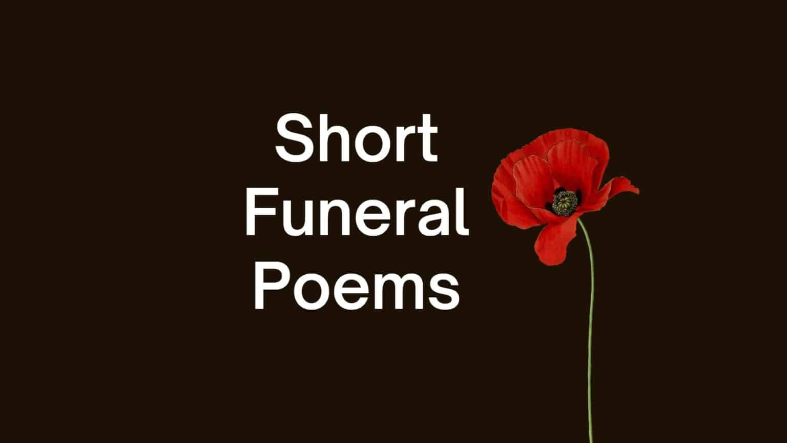 23 Short Funeral Poems The Art Of Condolence 9259