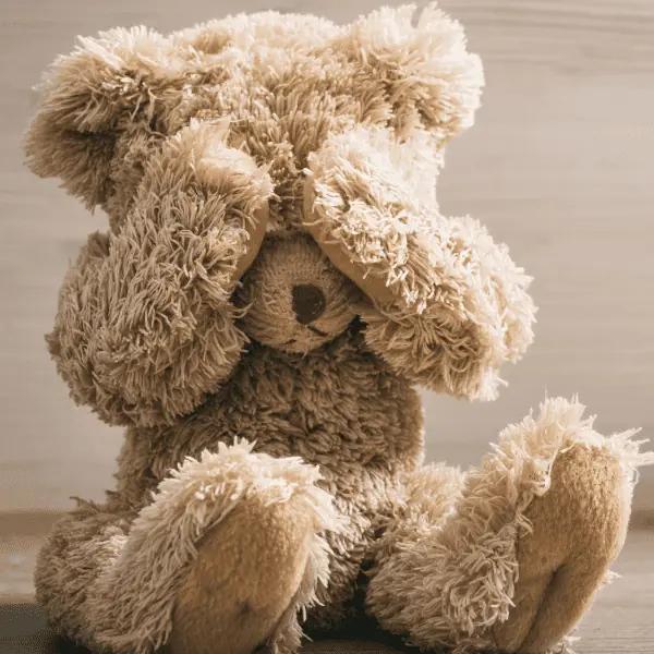 Teddy Bear cpvering eyes - Grief Poem for Loss of a Child
